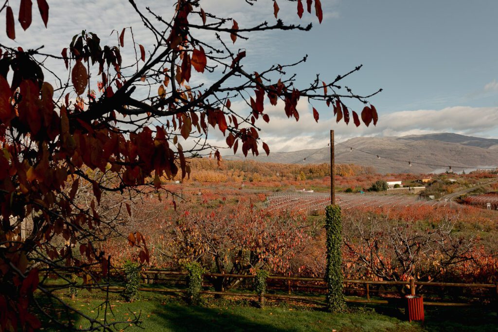 boda de otoño en Villa Xarahiz, Paisaje cerezos con las hojas rojas por el otoño